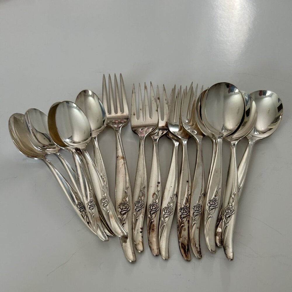Odd Lot Vintage Oneida Rose Song Flatware 16 Pieces